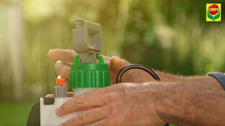 LA NOUVELLE FAÇON DE TRAITER LES MAUVAISES HERBES DANS LE GAZON