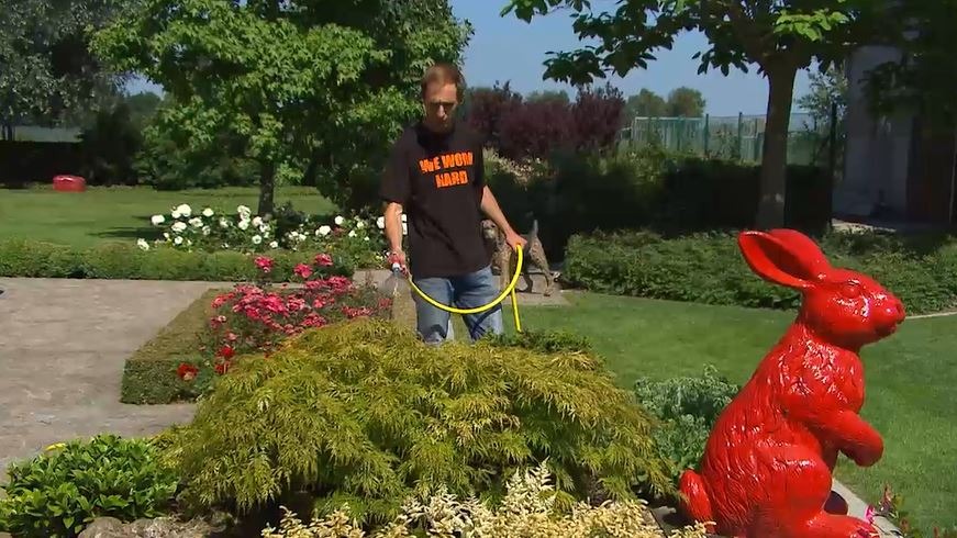 Conseils pour arroser votre jardin et votre potager