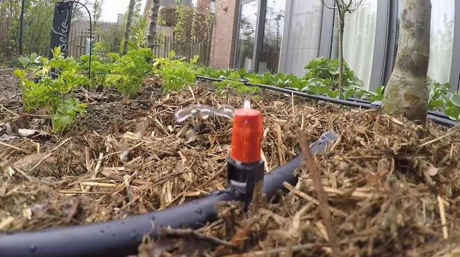 Hoe bewateren met druppelbevloeiing?