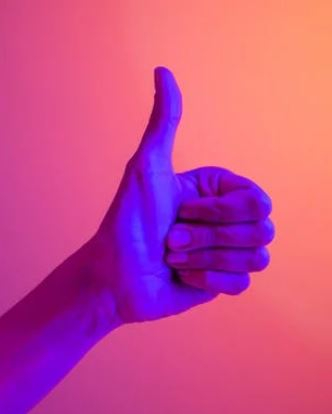 5.6 INZICHT TOEPASSEN